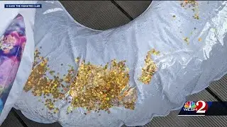Florida experts warn of harm glitter floats can bring to manatees