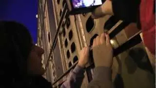 Toronto Cow Save bears witness of crippled cow at 