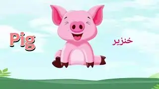 Как произносятся все названия животных на английском языке?