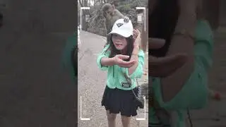 Funny Monkey | Monkey eating | Monkey play | Monkey show | SRKH Monkey