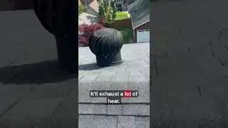 Squirrel Nest Discovered on Roof | Icon Pest Attic & Roof Inspection (Toronto)