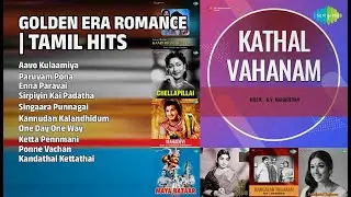 பொற்கால காதல் பாடல்கள் | T.M.Soundararajan Songs | Aavo Kulaamiya | Paruvam Pona | Enna Paravai