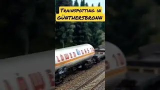 Trainspotting in G&Uuml;NTHERSBRONN 📽️🌲🚂☁️