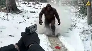 BIGFOOT SIGHTINGS - Hiker's Chilling Video