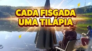 Muita TIL&Aacute;PIAS GRANDES em PARAIBUNA CAPIM D'ANGOLA. As Til&aacute;pias aparecer e quebrou at&eacute; vara.