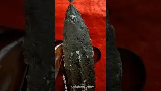 Bethok #bethok #video #art #pusakanusantara #kerispusaka #shortsvideo #shortvideo #shorts #short