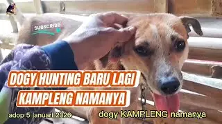 DOGY KAMPLENG SEDANG MASSA PEMULIHAN