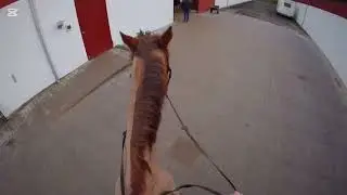 GoPro / Spring Stævne med Indo!