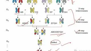 Lecture on MAGIC Line Part 2 | Vikas Mangal (Scientist, CRIJAF) | Genetics and Plant Breeding