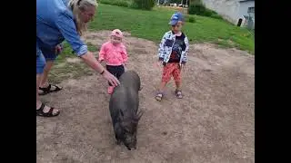 Olovnická farmička   20 7 2021