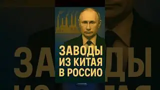 Путин одобрил перенос заводов из Китая в Россию / РЕАКЦИЯ #shorts