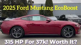 2025 Ford Mustang EcoBoost: Is Mustang vs. Elantra N The Most Unlikely Car Rivalry?