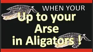 When you're up to your arse in alligators