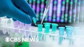Latest news on Trump administration cutting health research funding