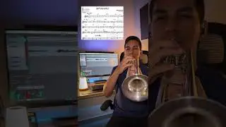 Isnt She Lovely🎶🎺#music #trompete #trompetista #trumpetplayer