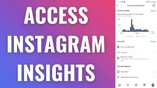 How to Access Instagram Insights & Analytics (2023)
