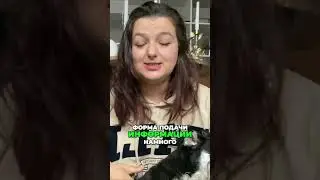 Румынский Ютуб. Cristian Chifoi &nbsp;#румыния