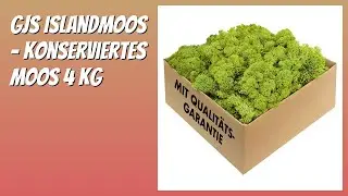 BEWERTUNG (2025): GJS Islandmoos - konserviertes Moos 4 kg. Infos