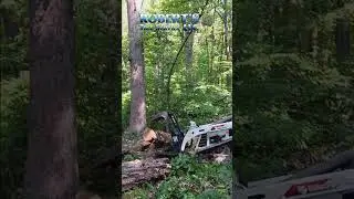 Multiple Tree Removal #howtocutdownatree #treeremoval #skidsteerattachments #trackloader