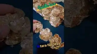 Nag phool wali Les new lace #leace #fashion #motilace #shorts #trending #viralvideo #rohillalace