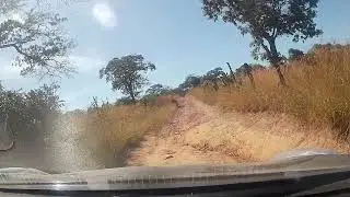 From Dusty Roads to Destiny: Why Zimbabwe is Calling You Home?