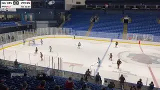 14U Revolution vs Vipers - Game 2 period 2
