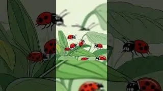 The Role of Insects in Ecosystem Services