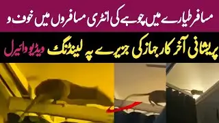 Plane Makes Emergency Landing After Rat Found Onboard
