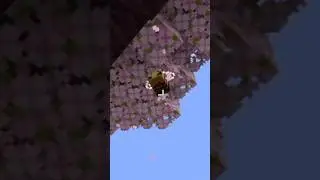 Minecraft - Spinning Bee