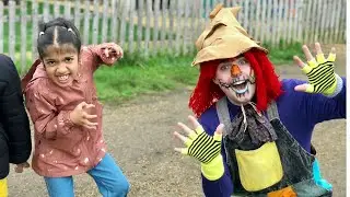 Halloween Fest @Aldenham Country Park | Pumpkin picking and Carving| Halloween Spook Fest