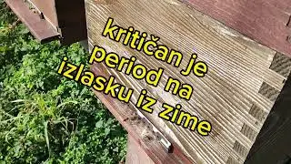 Pčelinjak u veljači- treba li i kako pomoći pčelama