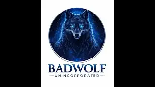 1.0 Beginners Guide to STATUS CORRECTION: Fact - National Vs. US Citizen = What is status?  badwolf