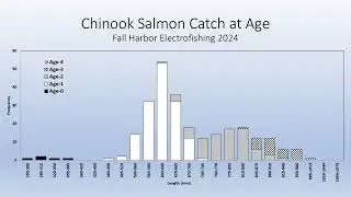 Illinois Lake Michigan Fisheries 2024 Updates | Dan Makauskas, Illinois Dept. of Natural Resources