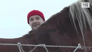 Maaseudun Tulevaisuuden uusi MT Hevoset -palvelu