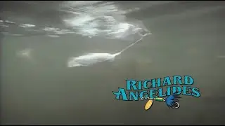 Richard Angelides in Expedition One's Gone Fishin'