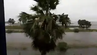 Bihar flood 2019