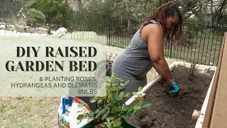 Spring '24 Garden Projects | DIY Raised Flower Bed | Planting Roses, Hydrangeas & Clematis Bulbs