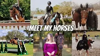 meet my horses!!! | Eleese S