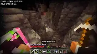 Playing Minecraft TRYING TO GO TO THE NETHER THIS STREAM!!!