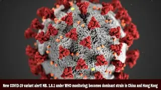 New COVID-19 variant alert! under WHO monitoring; becomes dominant strain in China and Hong Kong
