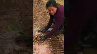 Removal Debris On Trash Rack Storm Drain Unclogging