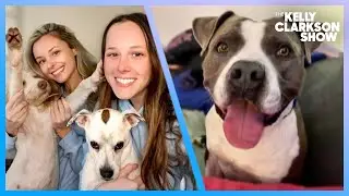 LA Sisters Save 300 Dogs Through Bubbles Dog Rescue