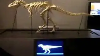 Dinosaur Skeleton Walking