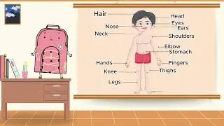 GENERAL AWARENESS-C | CH-2 : MY BODY