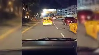 PAL Experience