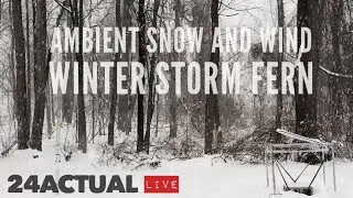 Relaxing Overnight Winter Storm (Fern) Livestream (resumed).