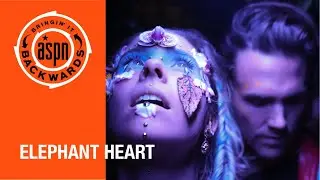 Interview with Elephant Heart