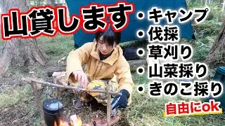 【私も居ます】山の土地を貸す自由すぎる企画！ブッシュクラフト、ワイルドキャンプがしたい、山が欲しい方必見です！【フォレンタ/forenta】