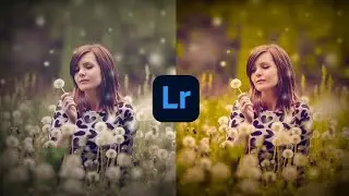 How to Edit Yellow Gold effect Photo editing ।। Lightroom Photo editing ।। New Lightroom preset ।।