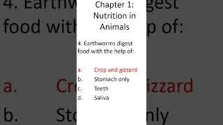 Chapter 1 Nutrition in animals Class 7 NCERT MCQ #class7 #science #cbse #ncert #mcq #term1exam #exam